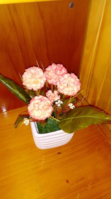 Hotel Ideal 2*